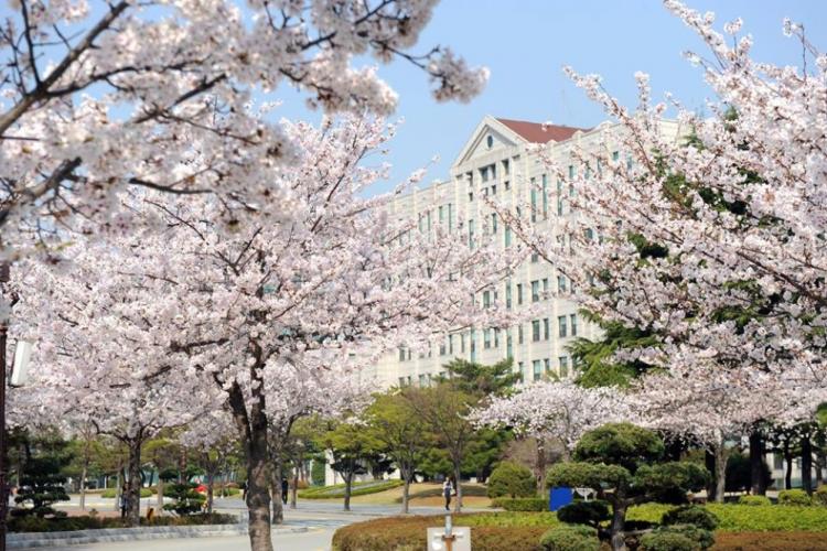 Đại học quốc gia Pukyong Hàn Quốc